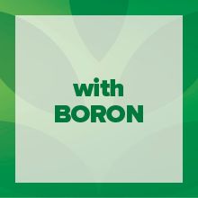 Cenovis Once Daily 50+ Multi Vitamin & Khoáng chất 100 Viên nang