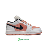  NIKE AIR JORDAN 1 LOW GS LIGHT MADDER ROOT DM8960-801 