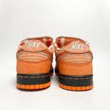  NIKE SB DUNK LOW CONCEPTS ORANGE LOBSTER FD8776-800 