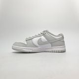  NIKE WMNS DUNK LOW PHOTON DUST DD1503-103 