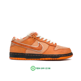  NIKE SB DUNK LOW CONCEPTS ORANGE LOBSTER FD8776-800 