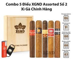 Combo 5 Điếu Xì Gà XGND Assorted Số 2 Chính Hãng