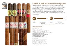 Combo 10 Điếu Cigar Size Toro Esteli - Xì Gà Giá Rẻ Bán Chạy Chính Hãng