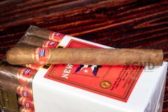 Xì Gà Aganorsa Leaf New Cuba Corojo Churchill - Cigar Chính Hãng