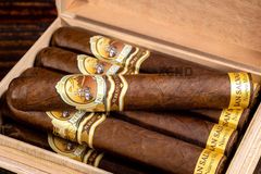 Xì Gà Neonlis Nuevo Mundo San Salvador - Cigar Chính Hãng