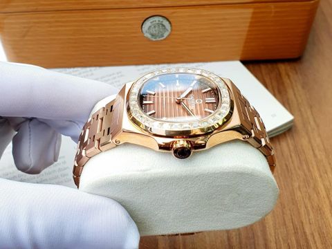  Đồng hồ Carnival 8108G-VH-N 