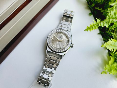  Đồng hồ Carnival 8107G-VT-N 