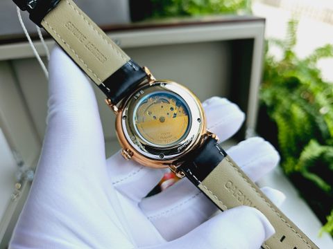  Đồng hồ Carnival 8894G-VH-DD-D1 