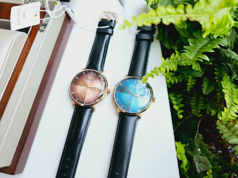  Đồng hồ Carnival 8894G-VH-DD-D1 