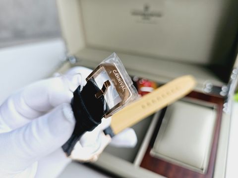  Đồng hồ Carnival 8108G-VH-DD-D 