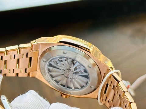  Đồng hồ Carnival 8118G-VH-T 