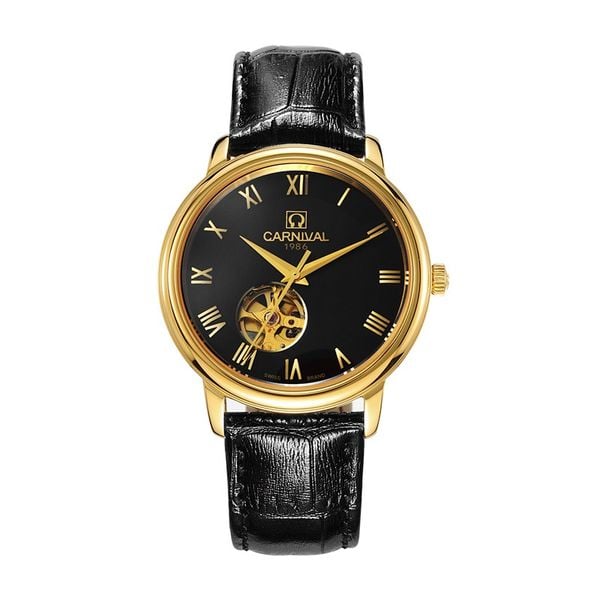 Đồng hồ Carnival 50801G-VV-DD-D