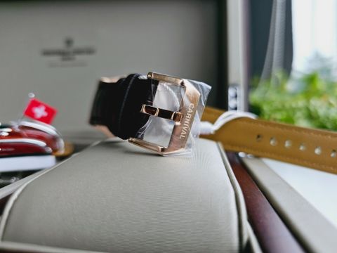  Đồng hồ Carnival 8110G-VH-DD-N 