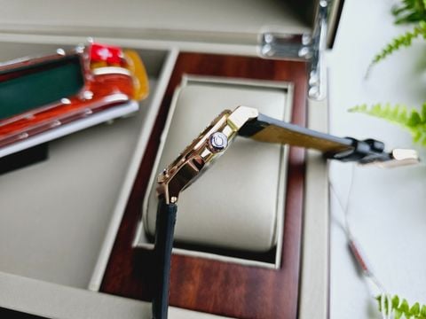  Đồng hồ Carnival 8110G-VH-DD-D 