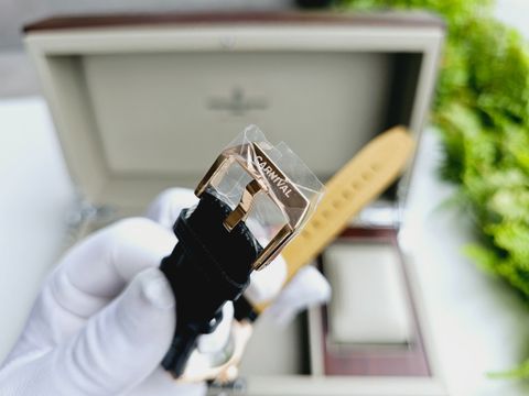  Đồng hồ Carnival 8110G-VH-DD-D 