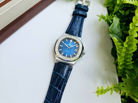  Đồng hồ Carnival 8108G-VT-DD-X 