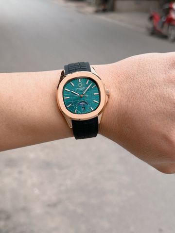  Đồng hồ Carnival 8113G-VH-DCS-XL 