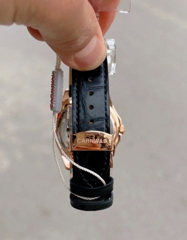  Đồng hồ Carnival 8113G-VH-DD-X 