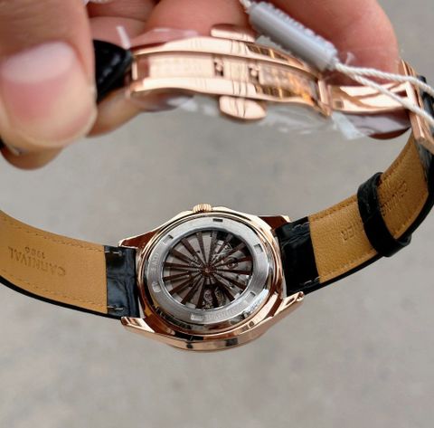  Đồng hồ Carnival 8113G-VH-DD-D 