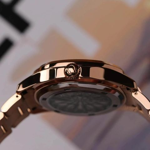  Đồng hồ Carnival 8113G-VH-N 