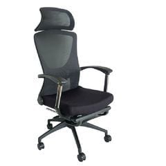Ghế Công Thái Học GL333