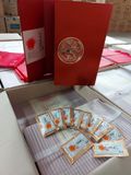 Đông trùng hạ thảo Dream  60 gói - Silk Worm Dong Chung Ha Cho Gold
