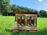 Tinh dầu thông đỏ Chính Phủ Del Pino Joek Song Won