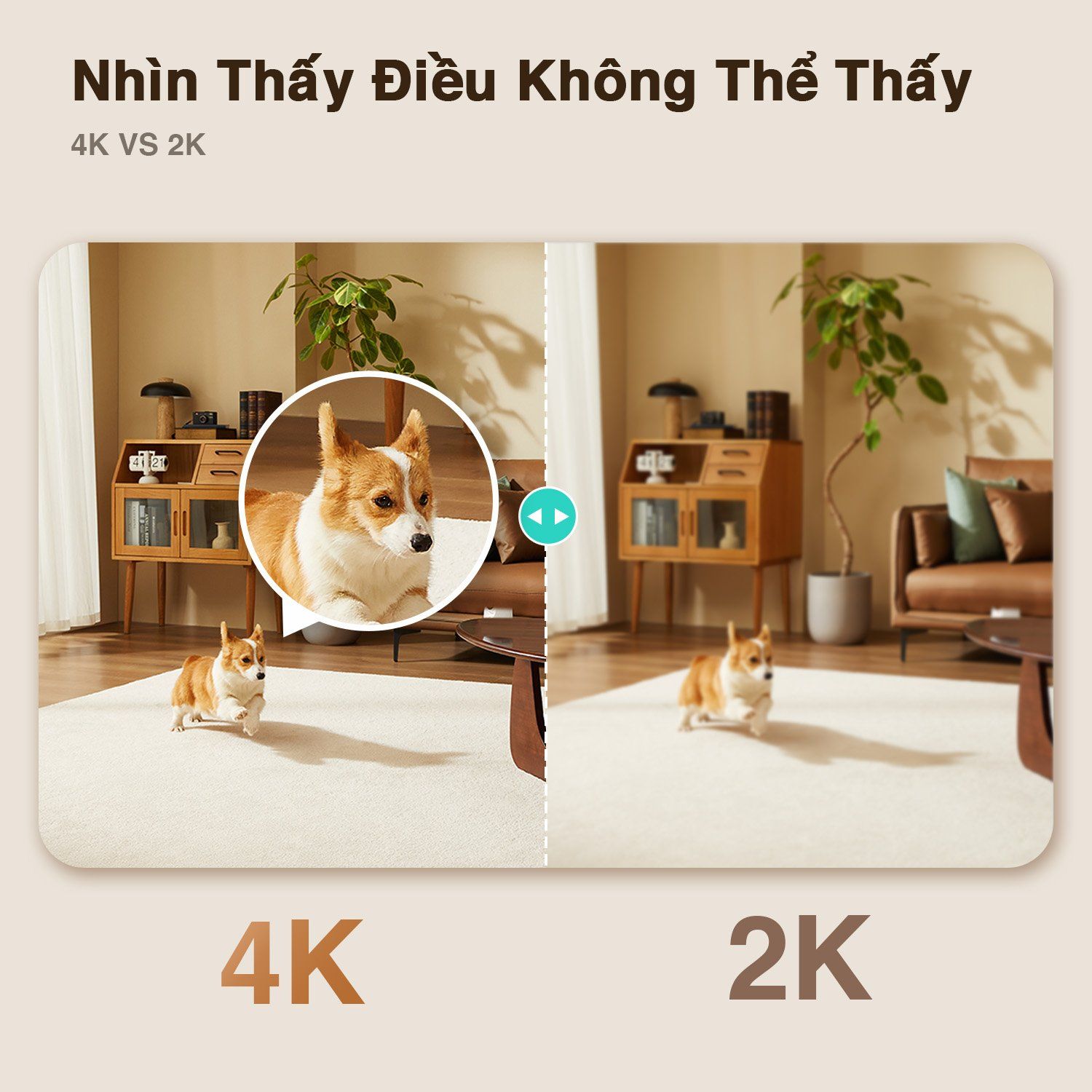  Camera Wifi Trong Nhà Botslab C224 