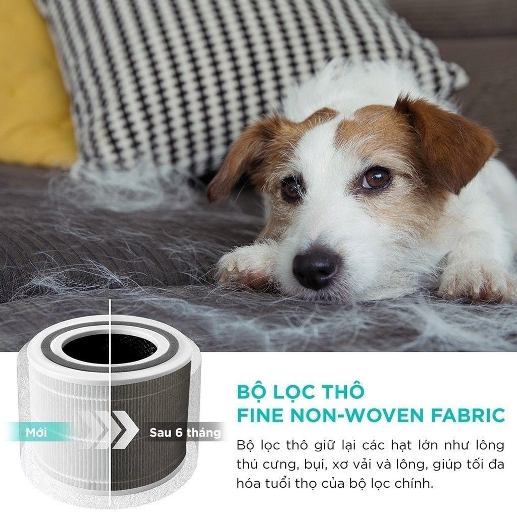  Máy Lọc Không Khí Levoit Core P350 