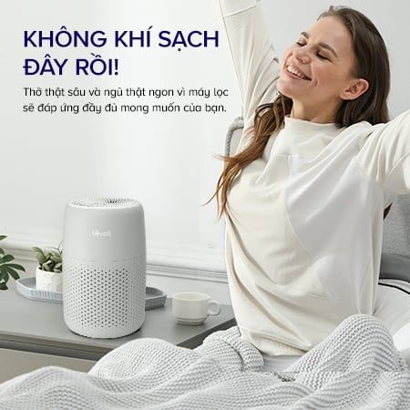  Máy Lọc Không Khí Levoit Core Mini Pro 