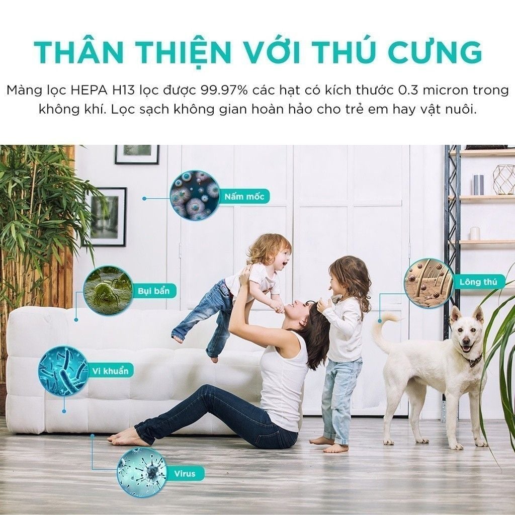  Máy Lọc Không Khí Levoit Core P350 
