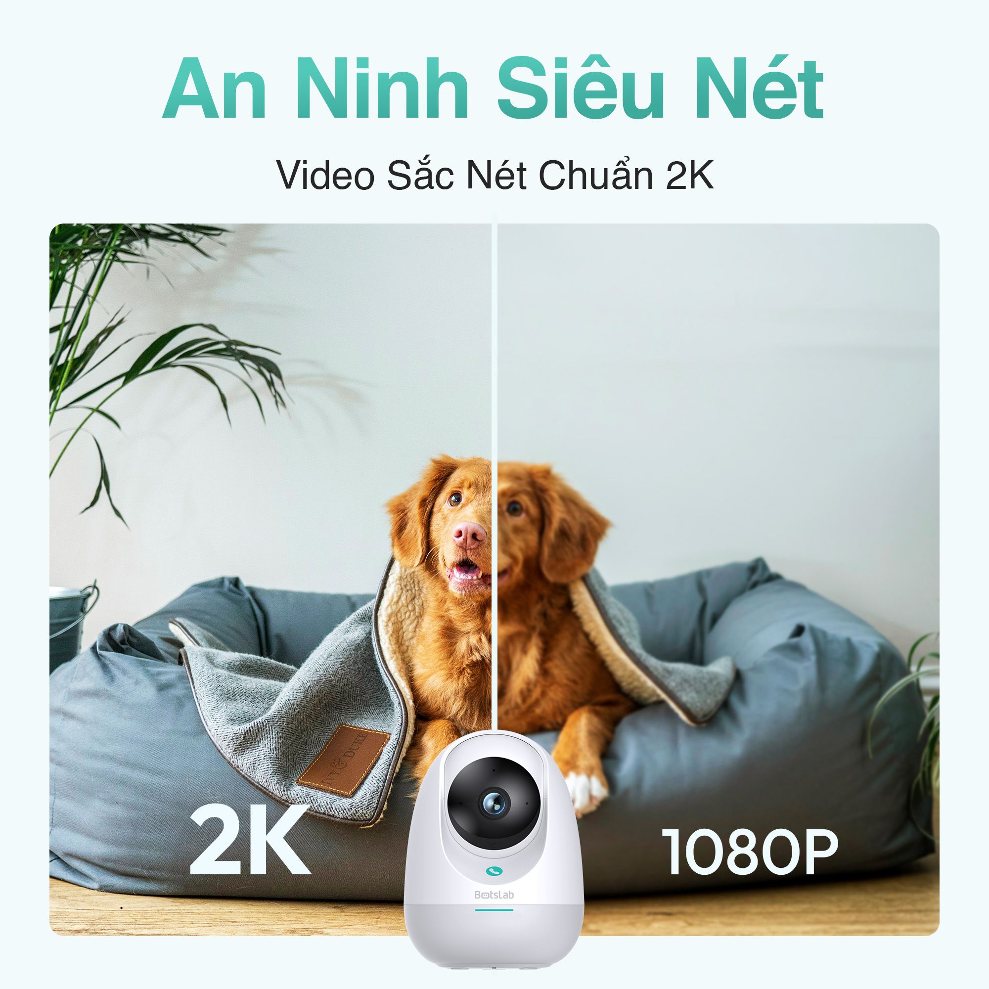  Camera Wifi Trong Nhà Botslab C213 