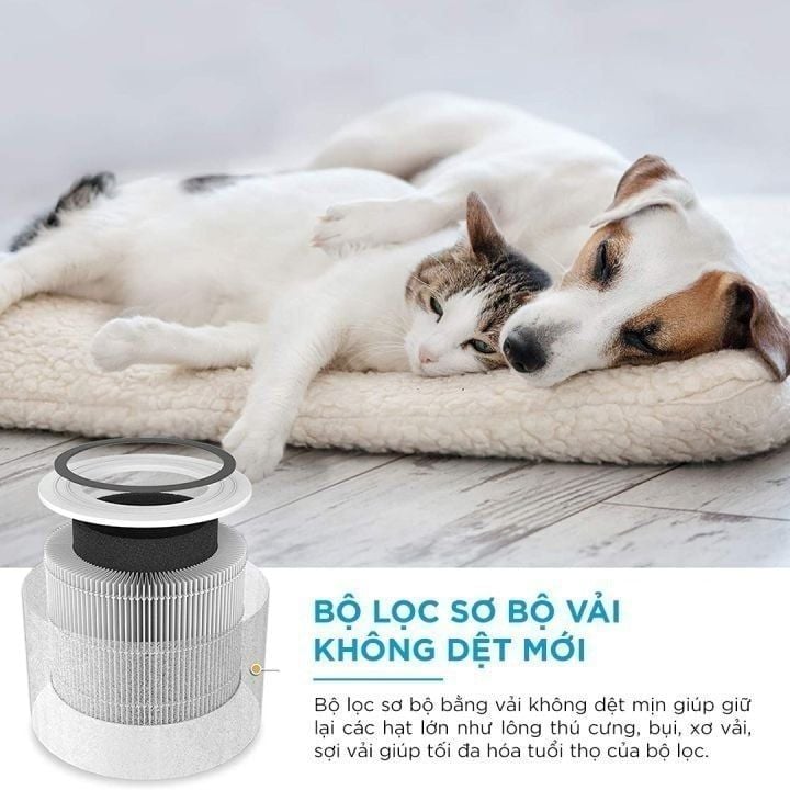  Lõi Lọc Diệt Khuẩn Tiêu Chuẩn Cho Levoit Core P350 RF 
