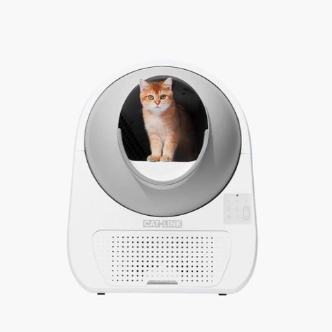 CATLINK