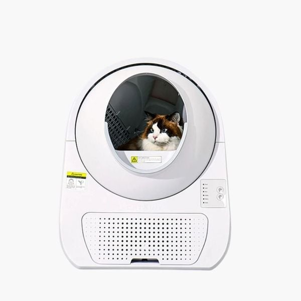 Máy vệ sinh cho mèo tự động CATLINK Young