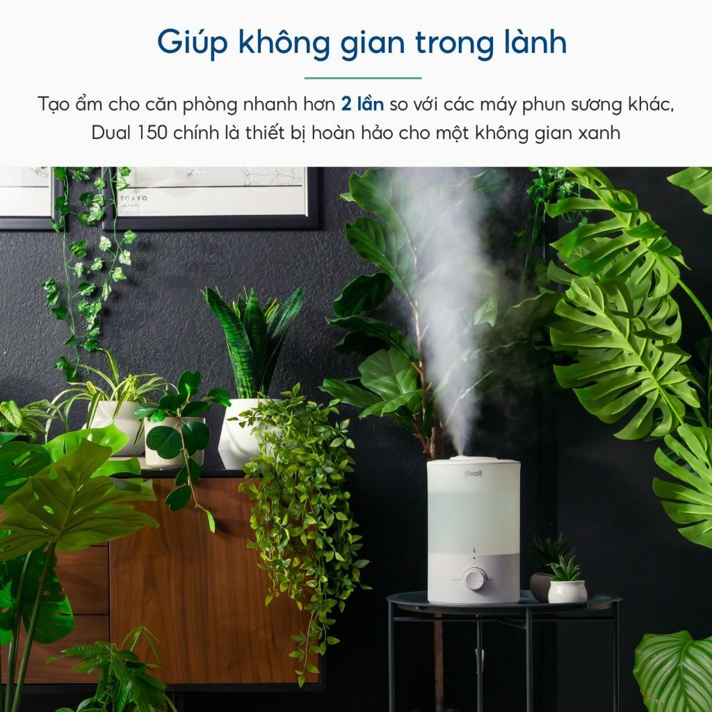  Máy Phun Sương Tạo Ẩm Levoit Dual 150 Ultrasonic 