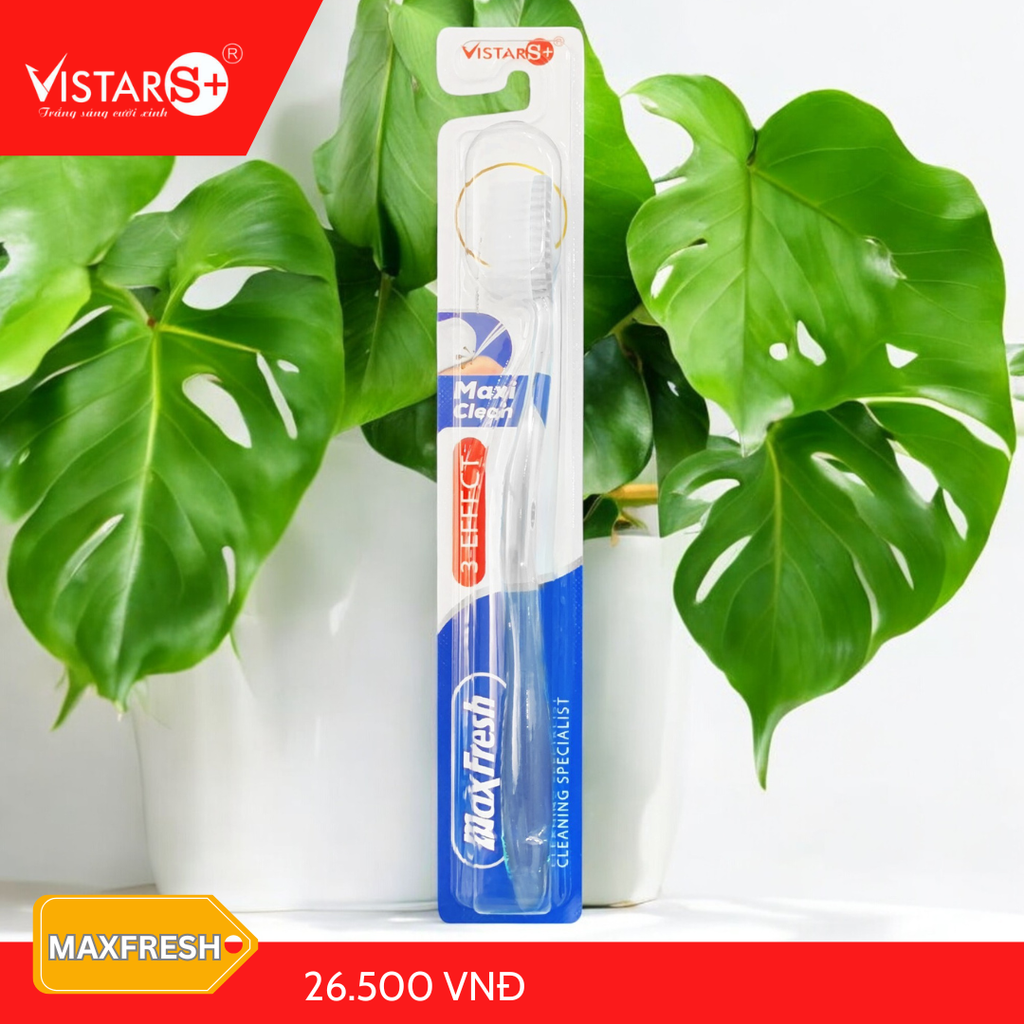 Bàn Chải Đánh Răng Maxfresh Siêu Mịn Vistar