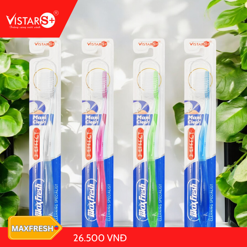 Bàn Chải Đánh Răng Maxfresh Siêu Mịn Vistar