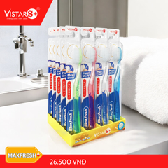 Bàn Chải Đánh Răng Maxfresh Siêu Mịn Vistar