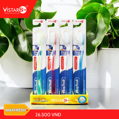 Bàn Chải Đánh Răng Maxfresh Siêu Mịn Vistar