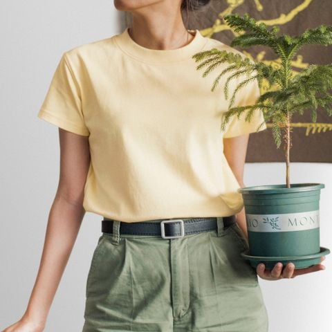  Basic Tee Vàng Kem 