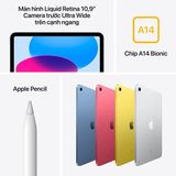 iPad Gen 10 Wi-Fi + Cellular 256GB