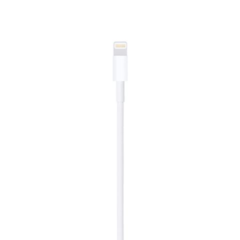 Cáp Apple Lightning to USB Cable (1m)