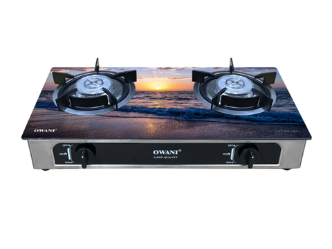 Bếp gas dương đôi Owani HKD94 - (F85-100) K5