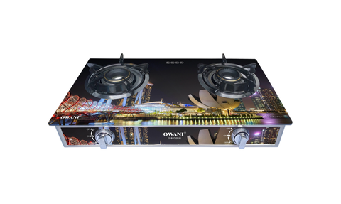 Bếp gas dương đôi Owani L6D - (F97-97)
