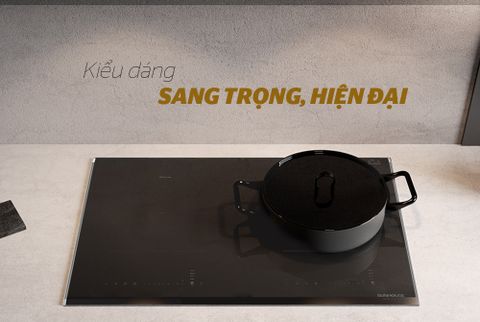 Bếp từ đôi Sunhouse SHB DI09