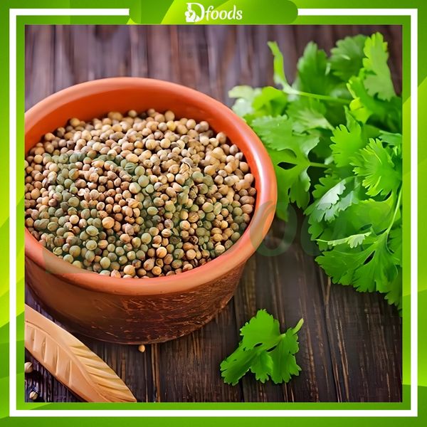 Hạt Ngò Ấn Độ Coriander Seeds