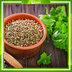 Hạt Ngò Ấn Độ Coriander Seeds