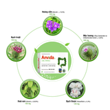  Viên uống Đại Tràng Anvida ích mật, lợi tiêu hóa, an đại tràng (4 vỉ x 10 viên) 