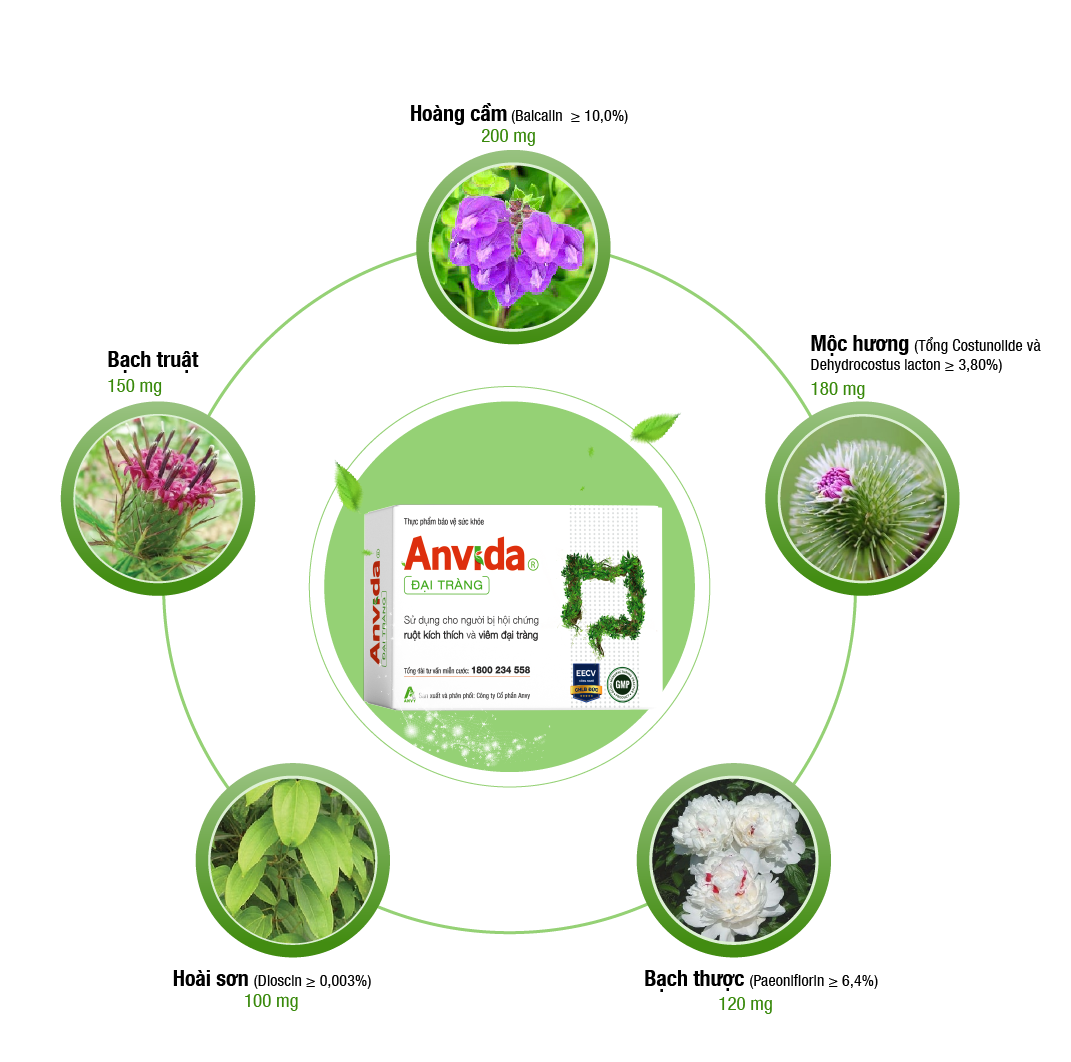  Viên uống Đại Tràng Anvida ích mật, lợi tiêu hóa, an đại tràng (4 vỉ x 10 viên) 